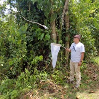 Abejas Sin Fronteras en Instagram 6